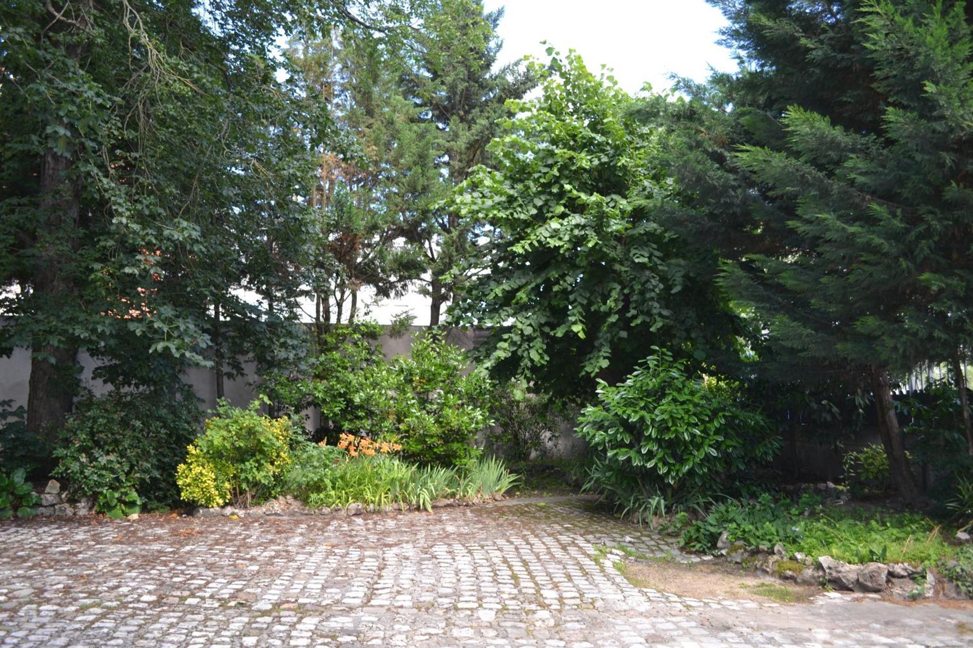 생-시르-쉬르-르와르 Lit En Loire B&B 외부 사진